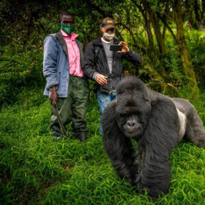 Into The Mist – 3 Days Gorilla Habituation Safari