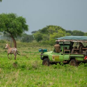 Untamed Unspoiled Unforgettable 9Days Northern Uganda Luxury Safari