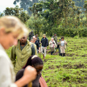 6Days Rwanda Primates and Birding Safari