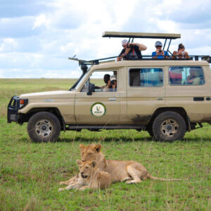 10Days Hakuna Matata Family Safari Across Tanzania